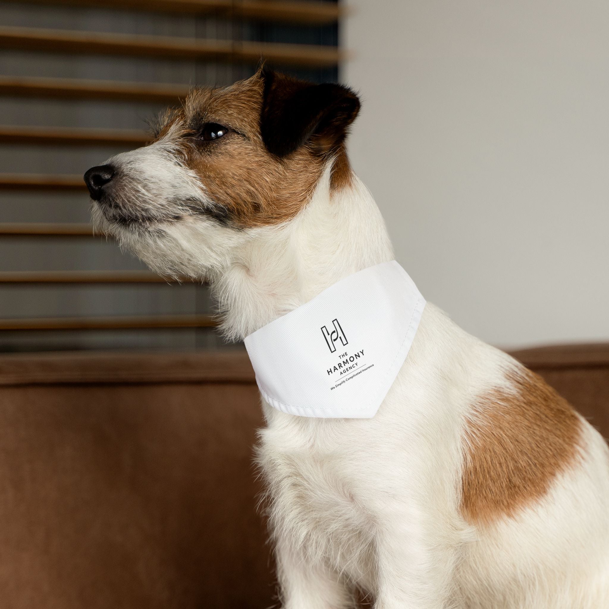 Angie Mikel Pet Bandana Collar