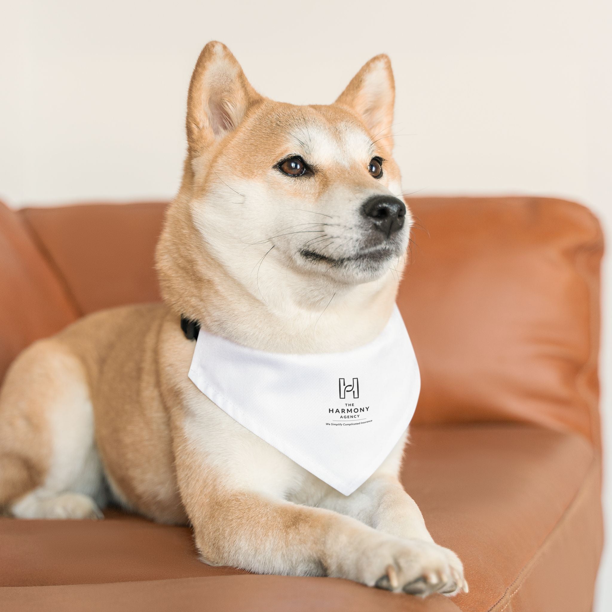 Angie Mikel Pet Bandana Collar