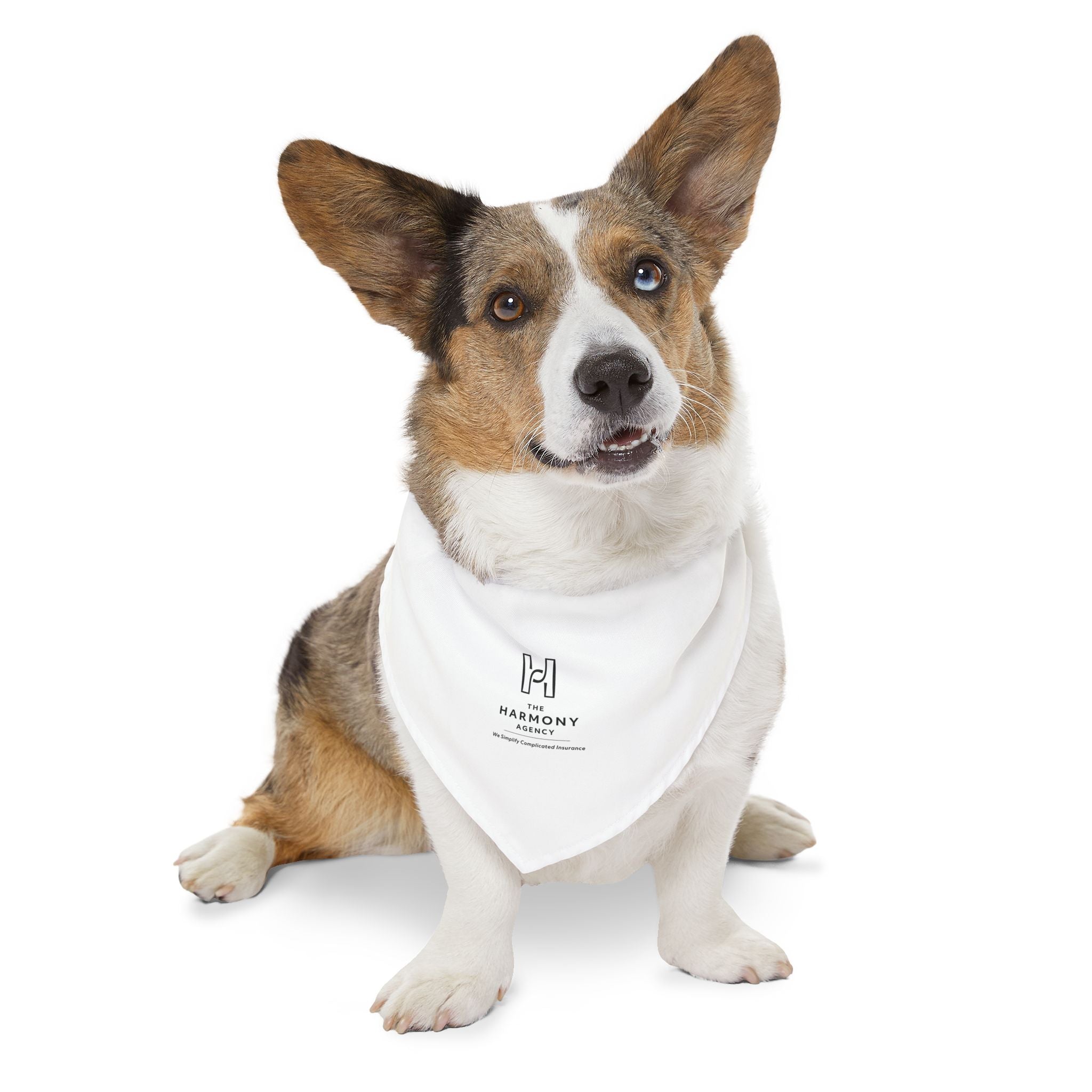 Angie Mikel Pet Bandana Collar