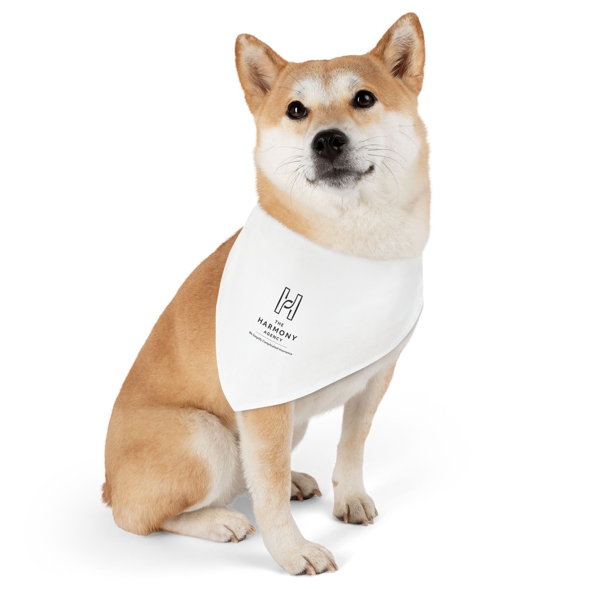 Angie Mikel Pet Bandana Collar