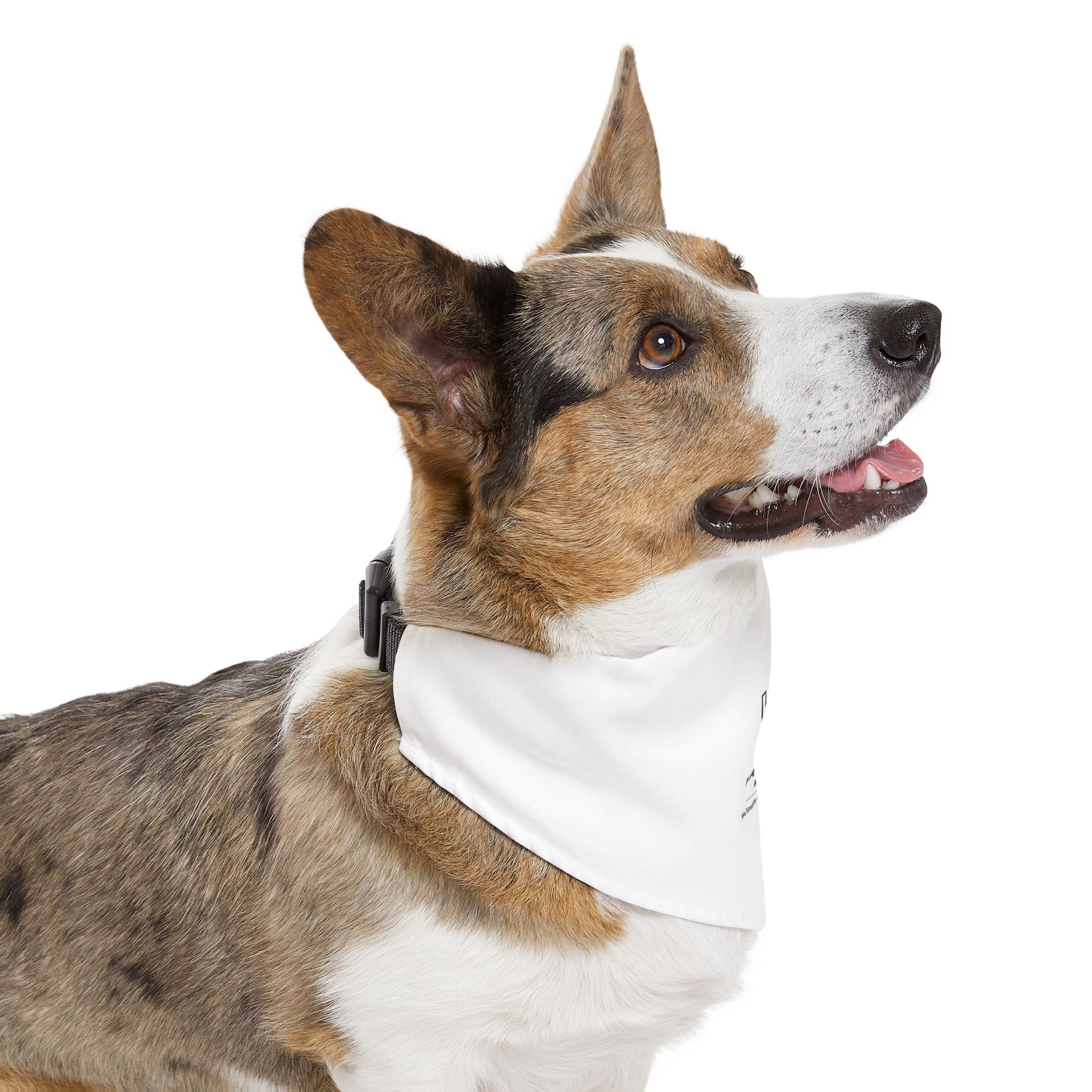 Angie Mikel Pet Bandana Collar